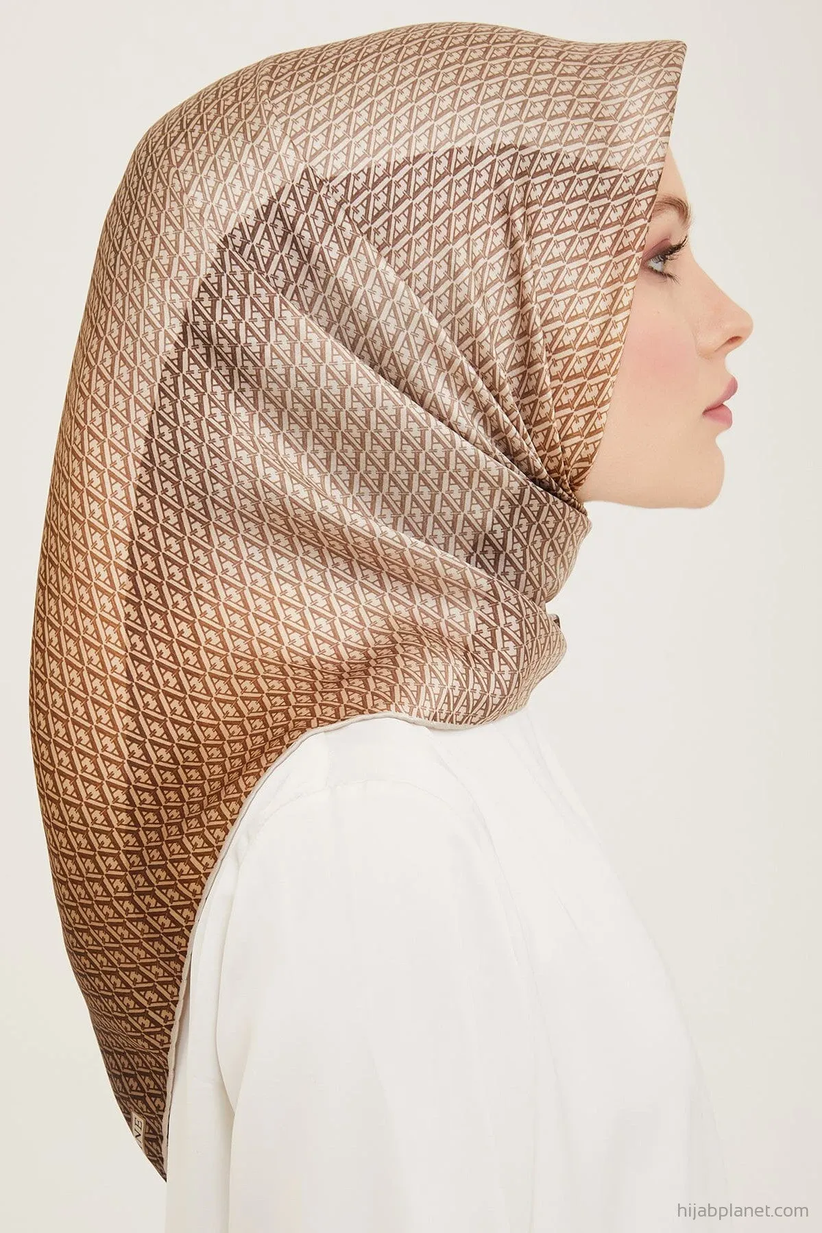 Armine Hathway Women Silk Scarf #81