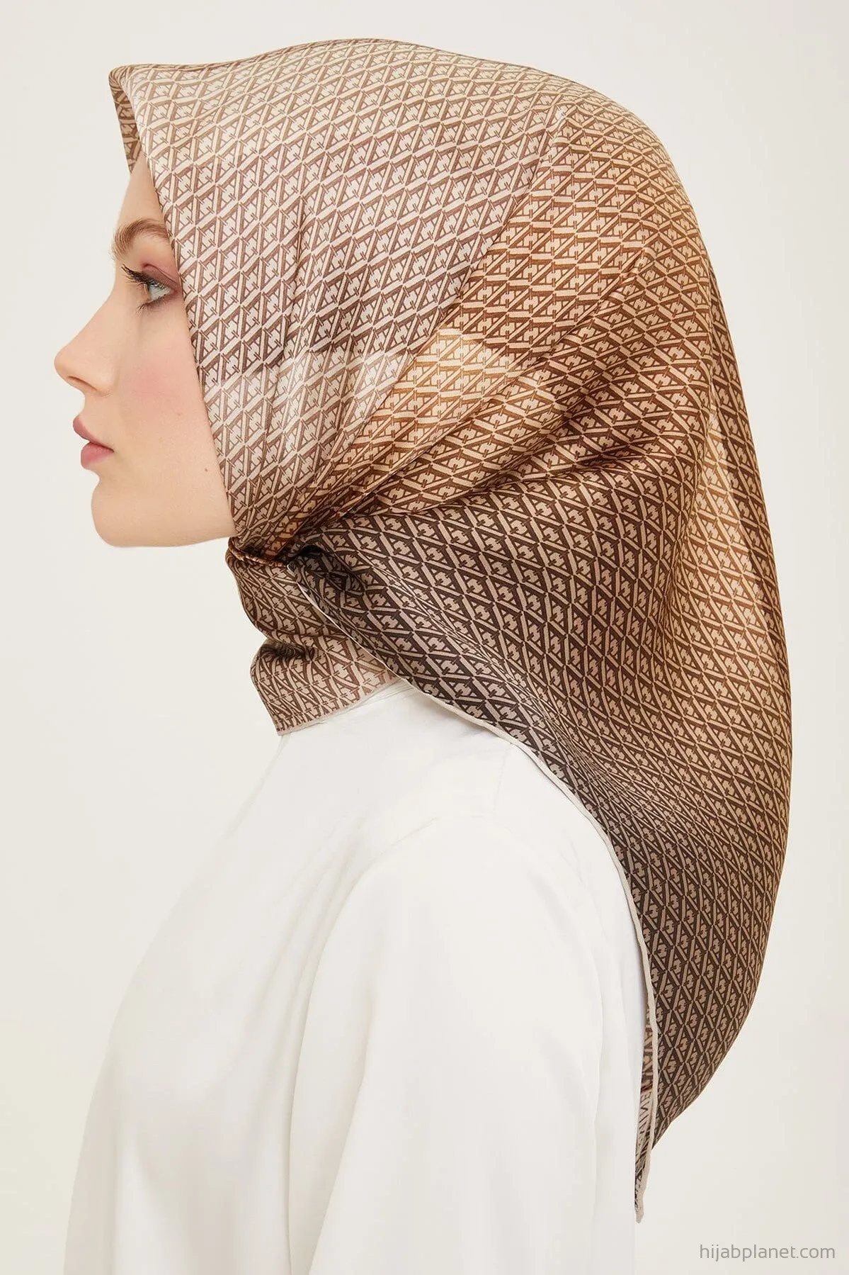 Armine Hathway Women Silk Scarf #81
