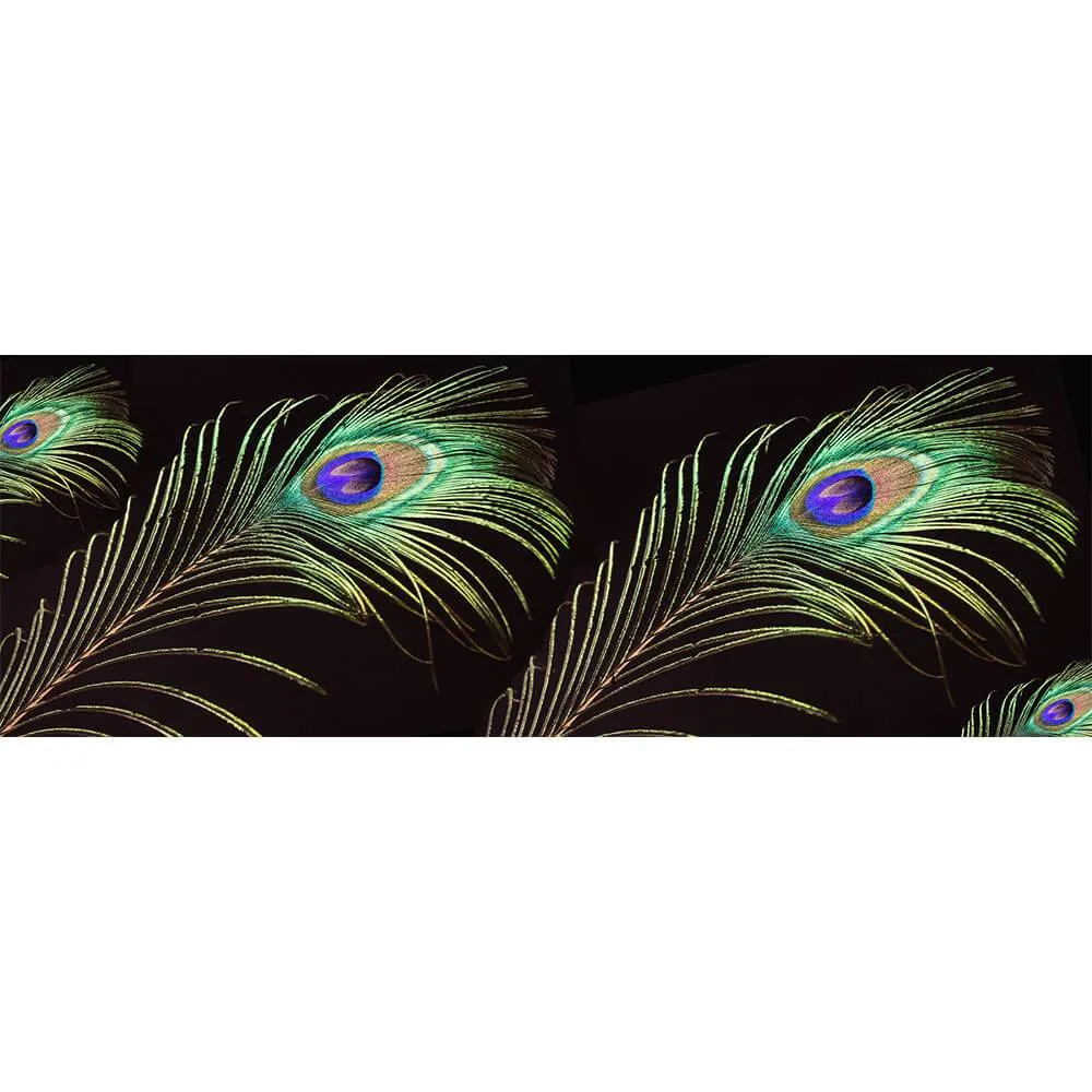 Peacock Print Superfine Wool Wrap