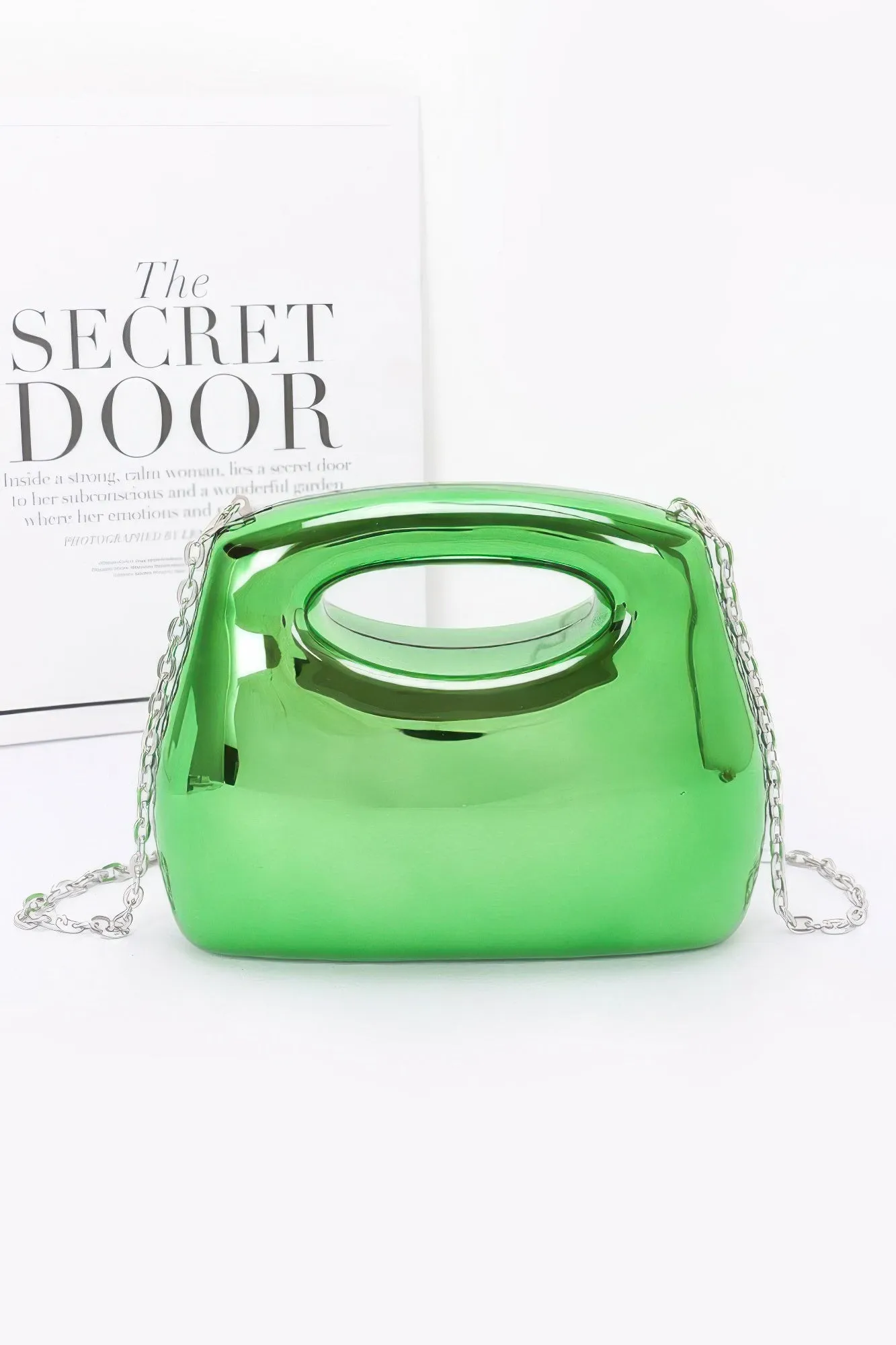 Shiny Flashy Acrylic Case Bag